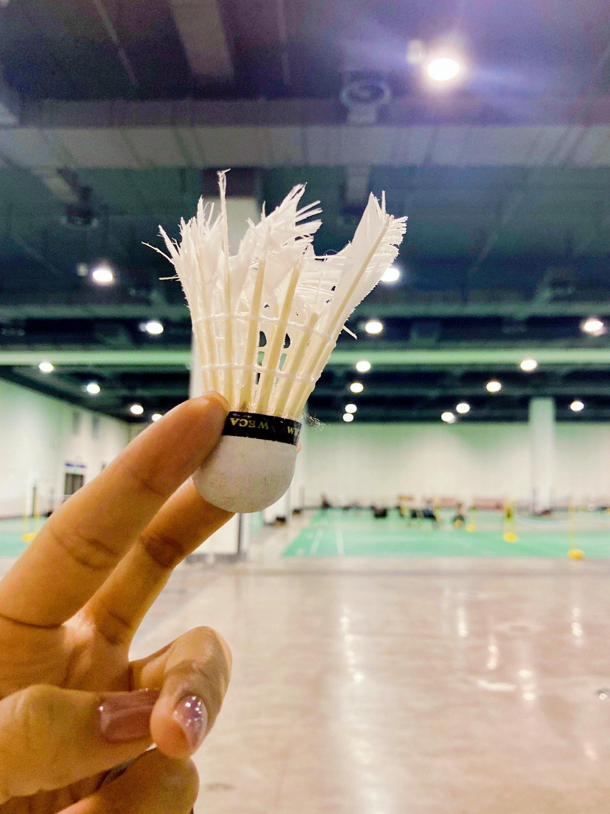 关于【场地环境】不同场馆对比赛结果的隐性影响的信息