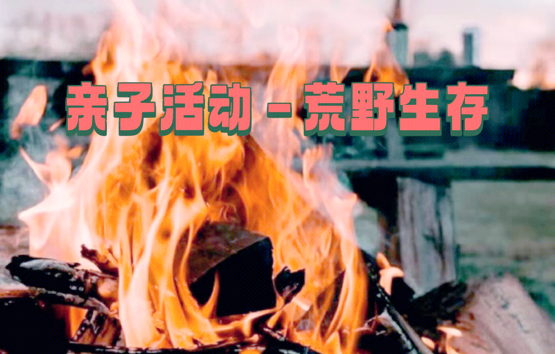 大型野外生存竞技，挑战荒野生存技能