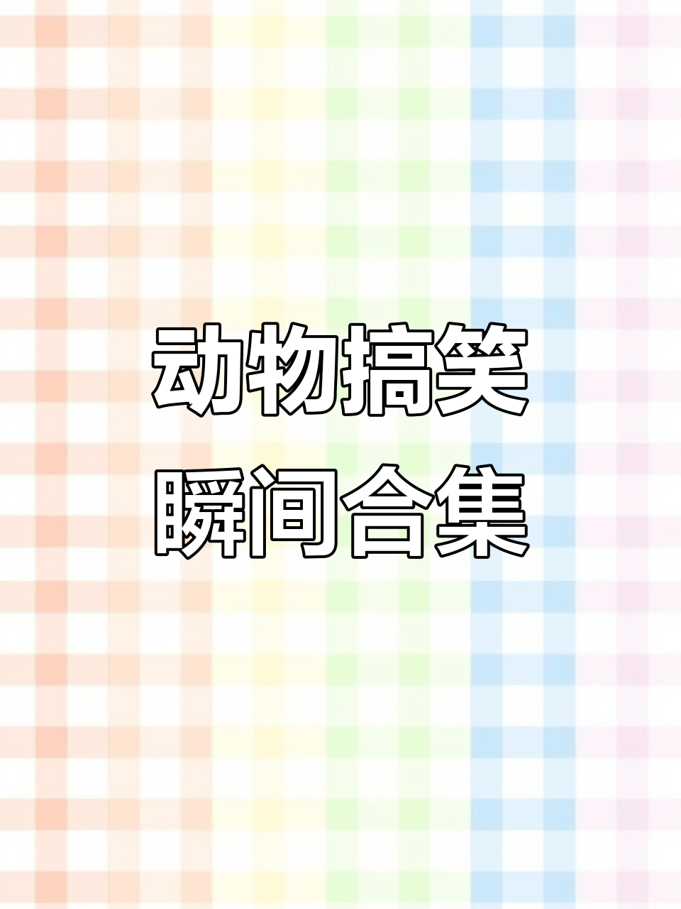 关于动物与人类体操：动物元素的运动趣味的信息