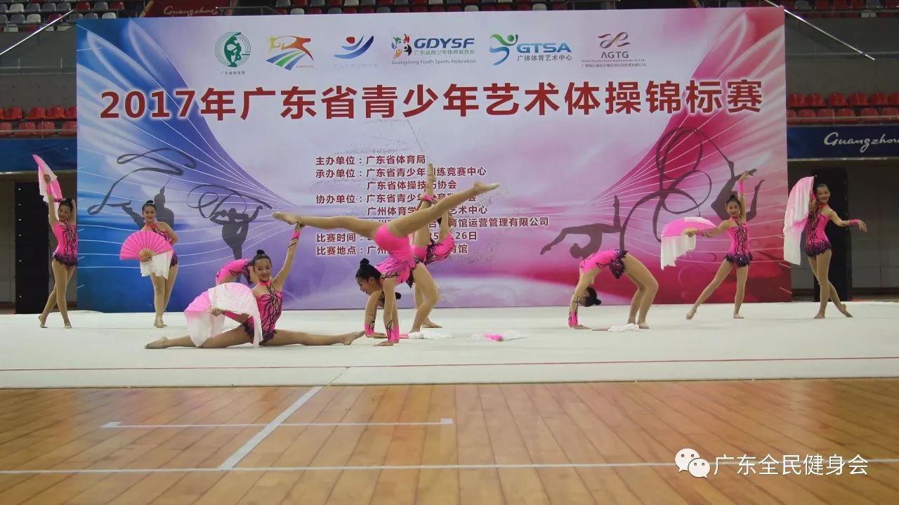 体操盛会：完美展示力与美的简单介绍